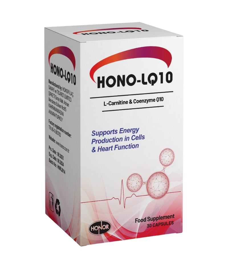 HONO-LQ10